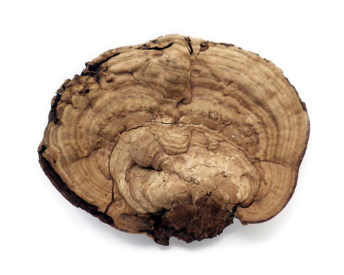 0_fba01ad94573f7e0ed28753e2775