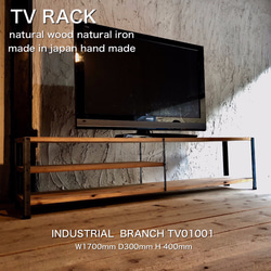 TV1C男前な西海岸インダストリアル テレビボード テレビ台