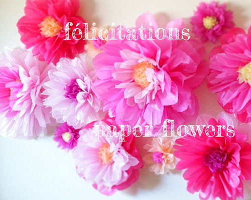 1_25ca4e44ee5566f6ef17026e0a14