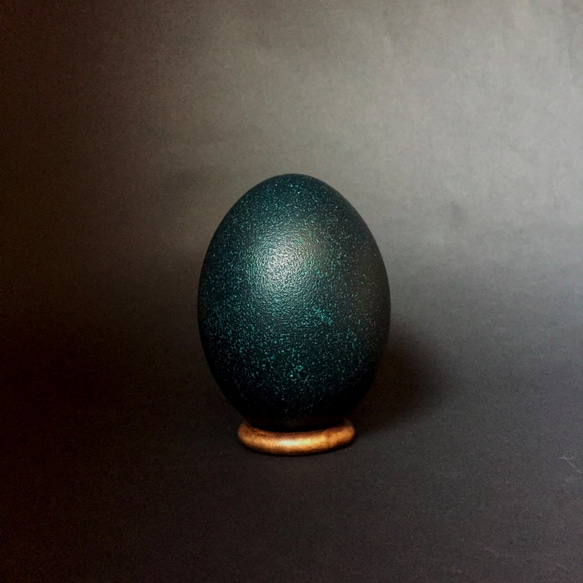 エミューの卵標本その二十六。 4枚目の画像