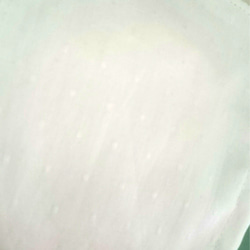 《ラスト》小池百合子さんマスク 白ドット 大きめ 2枚目の画像