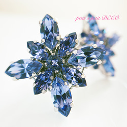 施華洛世奇®︎ 胸針 (S) clématite [tanzanite] with gift box 第1張的照片