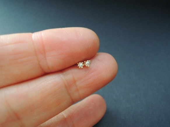 ＜ご予約品＞14kgf tiny pearl studs 3枚目の画像