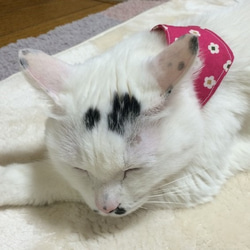 レトロ花柄ねこちゃんのバンダナ 4枚目の画像