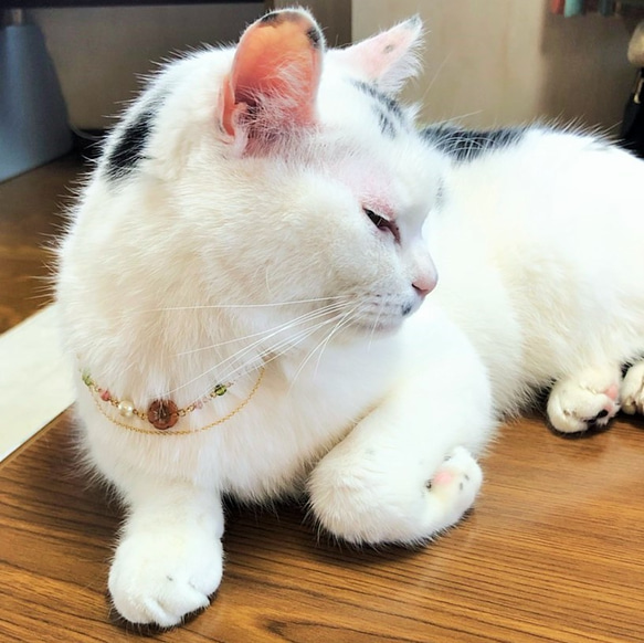 飼い主さんとお揃い☆ペットさんの首飾り 5枚目の画像