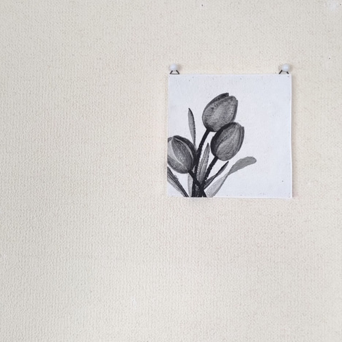 モノクロのチューリップ」コルクボードの原画＊アートパネル 絵画