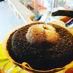 クリックポスト:アンドロメダエチオピアコーヒー100ｇ(粉）3袋エチオピアミックス　野生のコーヒー　いだきしんサウンド　 5枚目の画像