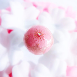 桜ゼリーな和菓子リングCherry Blossom Cotton Pearl Ring 桜  さくら 2枚目の画像