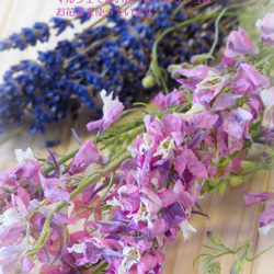 季節限定・ラベンダーピンクの夏色花束スワッグブーケ ～ ラクスパーとラベンダー・透明感とお花を楽しむフラワーインテリア 5枚目の画像