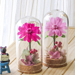 コスモスピンクのグラスドームフラワー ～ エアフルールフラワーギフト ～ 空気でお花を優しく包んだフラワーギフト 2枚目の画像