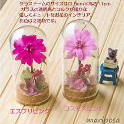 コスモスピンクのグラスドームフラワー ～ エアフルールフラワーギフト ～ 空気でお花を優しく包んだフラワーギフト 3枚目の画像