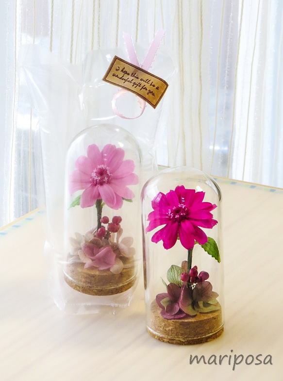 コスモスピンクのグラスドームフラワー ～ エアフルールフラワーギフト ～ 空気でお花を優しく包んだフラワーギフト 5枚目の画像