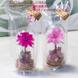 コスモスピンクのグラスドームフラワー ～ エアフルールフラワーギフト ～ 空気でお花を優しく包んだフラワーギフト 6枚目の画像