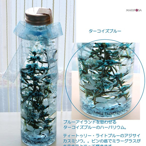 ハーバリウム 青と緑の球体 青のハーバリウム ～海色と空色の贈り物～ （選べるラッピング・無料
