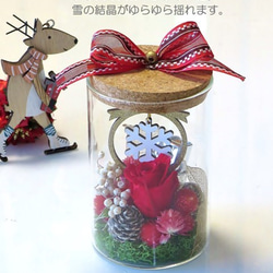 コルク瓶に入ったクリスマスプランツ（ 無料プレゼント用ラッピング・メッセージカード付き 3枚目の画像