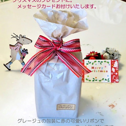 コルク瓶に入ったクリスマスプランツ（ 無料プレゼント用ラッピング・メッセージカード付き 4枚目の画像