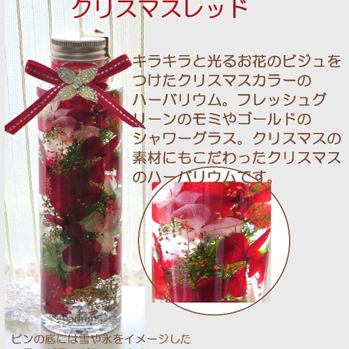 キラキラ星のクリスマスハーバリウム（プレゼント用 簡易ラッピング 