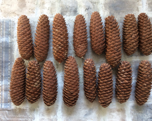 0_d576e2358785c041aa6b009a1e5c