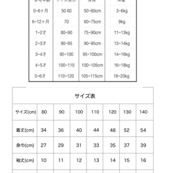  第9張的照片