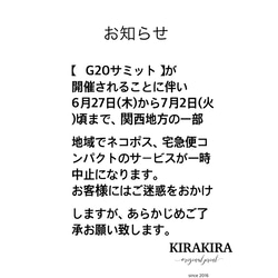 注意事項を必ず読んで頂いてご購入お願い致します。 2枚目の画像