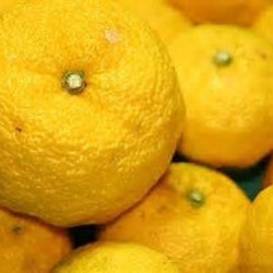 自家製柚子のシフォンケーキ 4枚目の画像