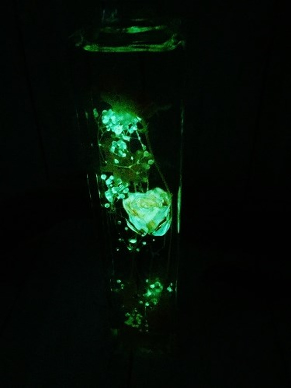 暗闇でほのかに光るflowerium stardust(フラワリウム/ハーバリウム）マーズピンク 4枚目の画像