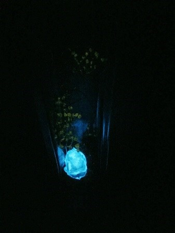 暗闇でほのかに光るflowerium stardust(フラワリウム/ハーバリウム）アースホワイト 3枚目の画像