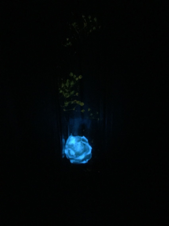 再販☆暗闇でほのかに光るflowerium stardust(フラワリウム/ハーバリウム）アンドロメダパープルホワイト 3枚目の画像