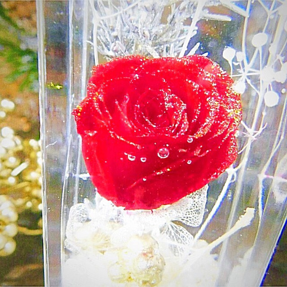 レッドローズの雪色flowerrium（ハーバリウム） 3枚目の画像