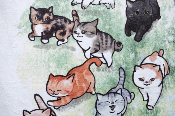 図タオル太った猫猫のペンティアム20枚の絵画 5枚目の画像