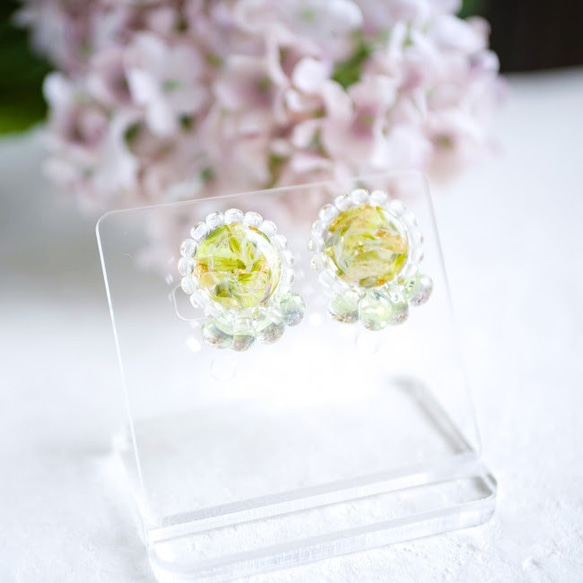 Beads de Fuchidori Green / Flower 耳飾 第2張的照片