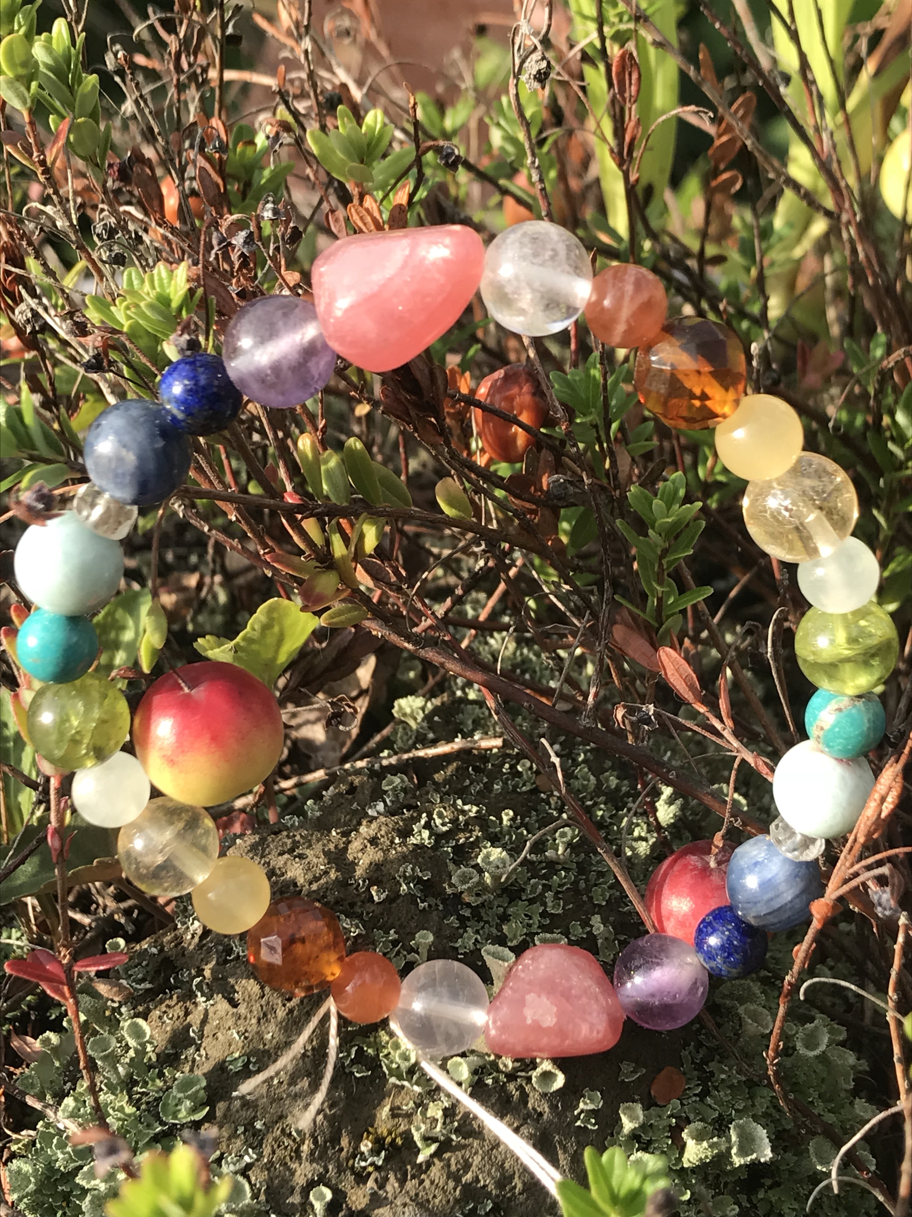 rainbow019