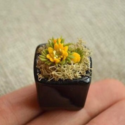 福壽莊 - 預示著春天到來的微型黏土花 第2張的照片