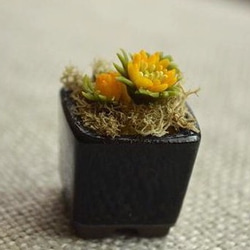 福壽莊 - 預示著春天到來的微型黏土花 第4張的照片