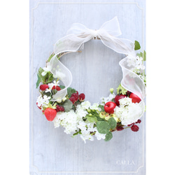 《1点物》Berry Berry Wreath〜Msize 2枚目の画像