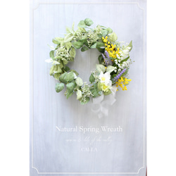 Natural Spring Wreath〜mimosa & lily of the valley〜Msize 2枚目の画像
