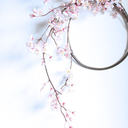 《Last1点》春爛漫♡Sakura Wreath〜30㎝リースbox入り〜 2枚目の画像