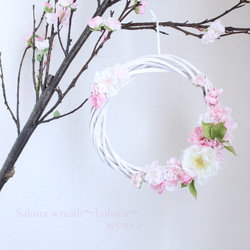 《一点物》Sakura wreath〜koharu〜 5枚目の画像