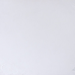 《裏面塗装》スタイリングボード 910㎜×600㎜×4㎜or15㎜ Shikkui White 3枚目の画像