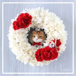 《4月限定ニ個》世界でたった１つ愛猫ちゃんのSweet cat wreath♡〜カーネーション〜 1枚目の画像