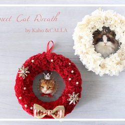 《4月限定ニ個》世界でたった１つ愛猫ちゃんのSweet cat wreath♡〜カーネーション〜 6枚目の画像