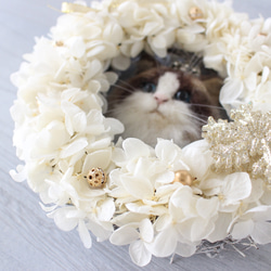 レオンくんのママ様専用ページ 世界でたった１つ♡Sweet Cat Wreath 4枚目の画像