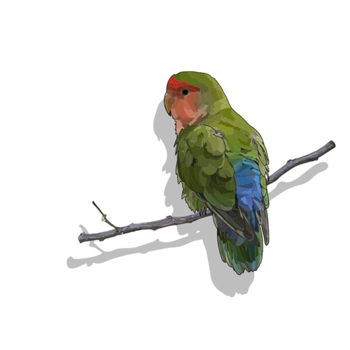 小桜インコ 野葡萄 イラスト tomosworks 通販 2919327｜Creema