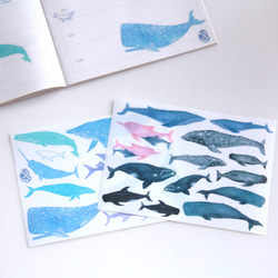 クジラとイルカの本の透明なステッカー 2枚目の画像
