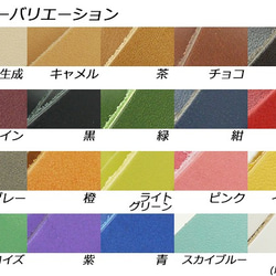 Phimo0063 ドエリアレース 30mm巾×170cm 全20色 2.0mm厚 1本 2枚目の画像