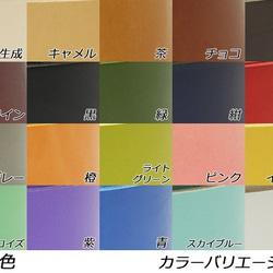 Pitem1001顏色帶可選擇尺寸和顏色（超薄30毫米寬）厚型所有20種顏色20至40英寸長 第2張的照片