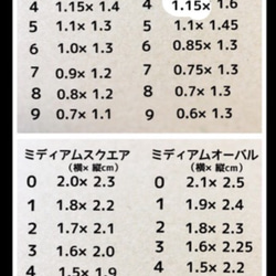 【チップサイズ確認用】送料無料 4枚目の画像