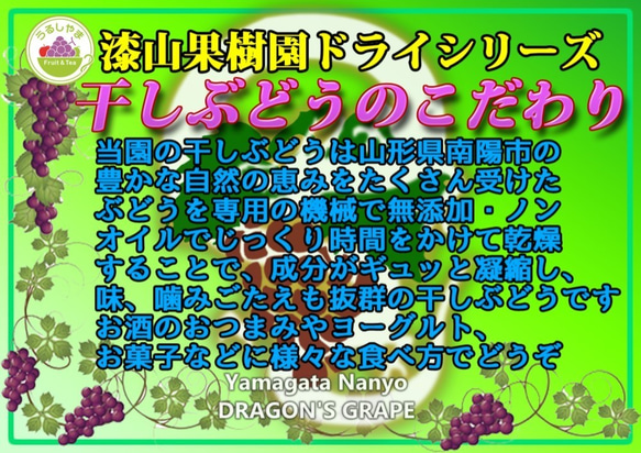 果樹園生まれのドライフルーツ　デラウェア枝付き干しぶどう国産・無添加 3枚目の画像