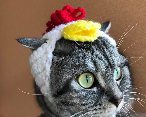 0_c050475acfacdec856c0a362626d