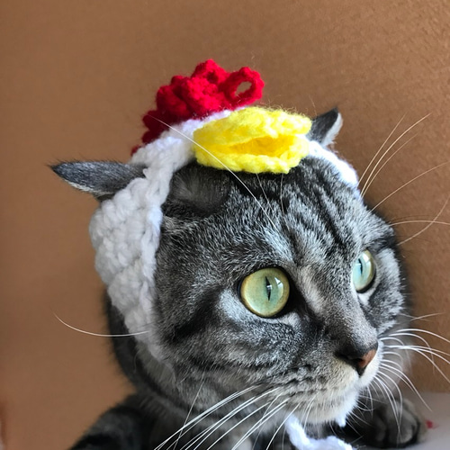 きせかえフリルキャップ 帽子 キッズ ハット 日除け コットン